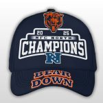 Bears 2025 NFC North Champions Bear Down Cap