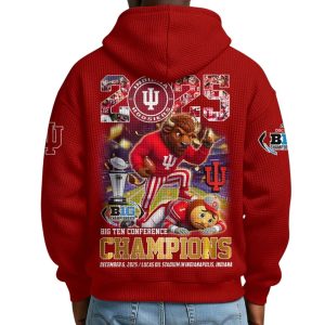 Indiana Football 2025 Big Ten Champions Waffle Quarter Zip Hoodie 2