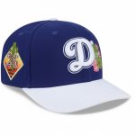LA Dodgers 2026 Spring Training Hat