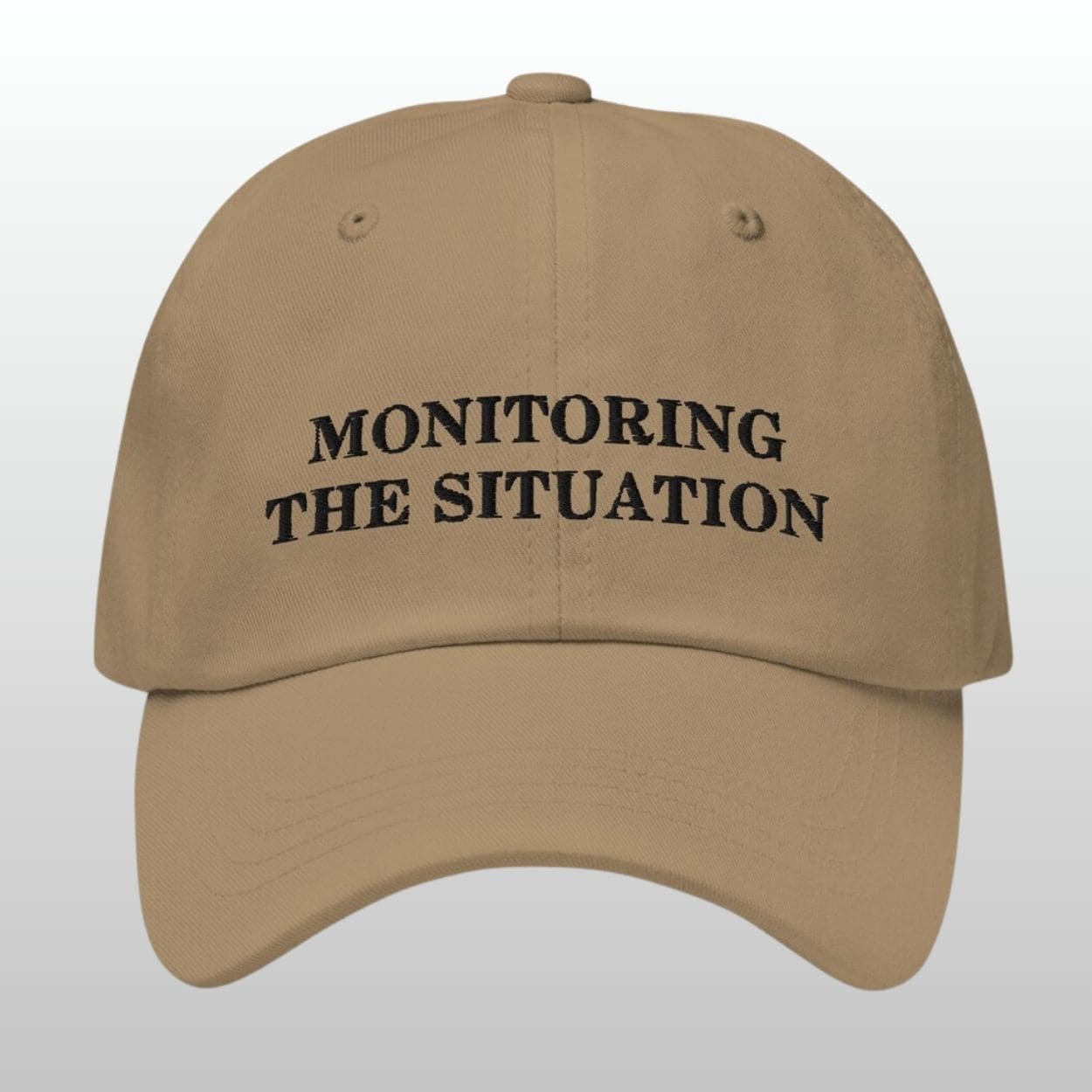 Monitoring the Situation Dad Hat Monitoring the Situation Dad Hat