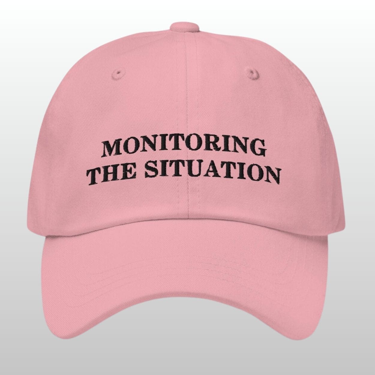 Monitoring the Situation Dad Hat Monitoring the Situation Dad Hat