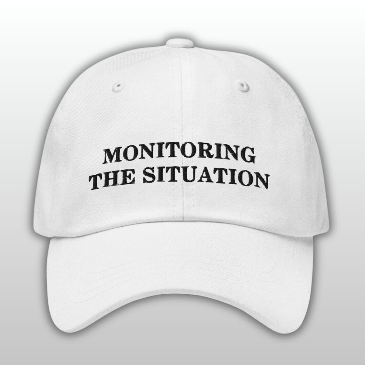 Monitoring the Situation Dad Hat Monitoring the Situation Dad Hat