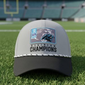 Panthers 2025 NFC South Champions Cap